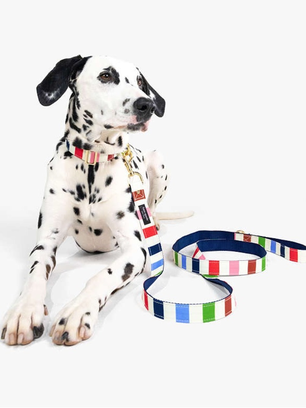 Kate Spade NY Adventure Stripe Dog Collar & Leash Combo - - Picture 4 of 16